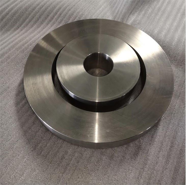 Titanium Forging Ring
